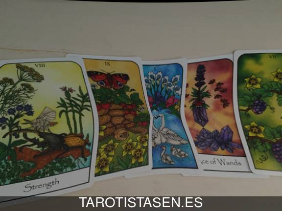 Tarotistas en Villar del Arzobispo